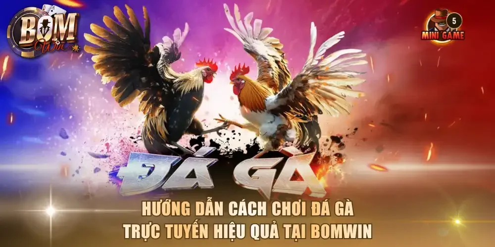 Cách chơi đá gà trực tuyến