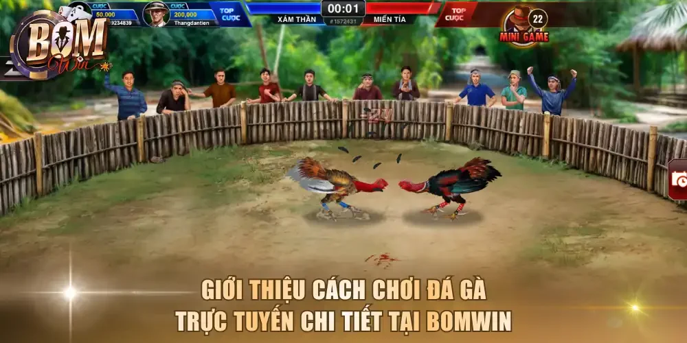 Giới thiệu cách chơi đá gà trực tuyến chi tiết tại Bomwin